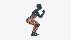 How daily squats transform your legs, glutes, and core