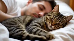 What your cat’s favorite sleeping spot reveals about your bond