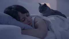 Cats in the bedroom The meaning behind sleeping at your head versus your feet